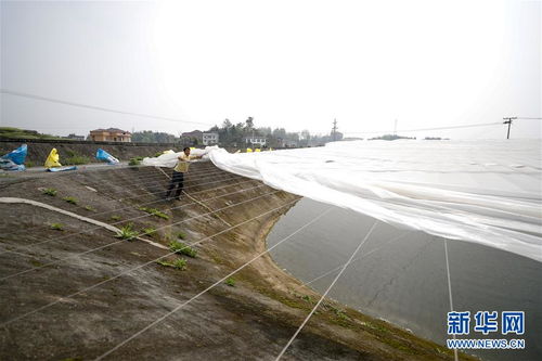 疏通產(chǎn)業(yè)鏈堵點(diǎn)，保障“菜籃子”供應(yīng)——重慶養(yǎng)殖大區(qū)力促養(yǎng)殖業(yè)補(bǔ)損復(fù)產(chǎn)與飼料銷售暢通